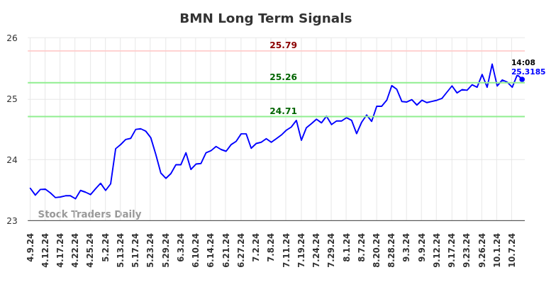 BMN Long Term Analysis for October 9 2024