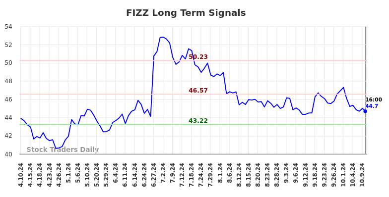 FIZZ Long Term Analysis for October 10 2024