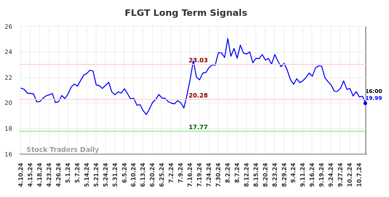 FLGT Long Term Analysis for October 10 2024