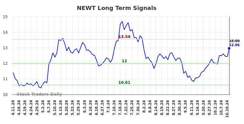 NEWT Long Term Analysis for October 12 2024