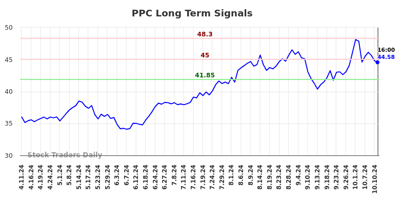 PPC Long Term Analysis for October 13 2024