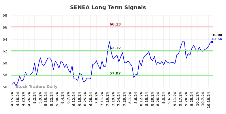 SENEA Long Term Analysis for October 13 2024