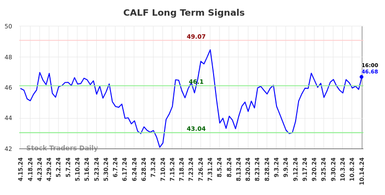 CALF Long Term Analysis for October 15 2024