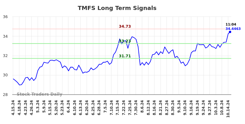 TMFS Long Term Analysis for October 15 2024