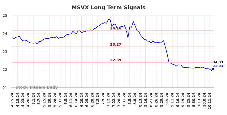 MSVX Long Term Analysis for October 15 2024