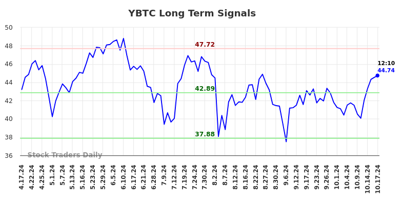 YBTC Long Term Analysis for October 17 2024