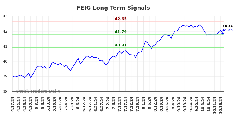 FEIG Long Term Analysis for October 17 2024