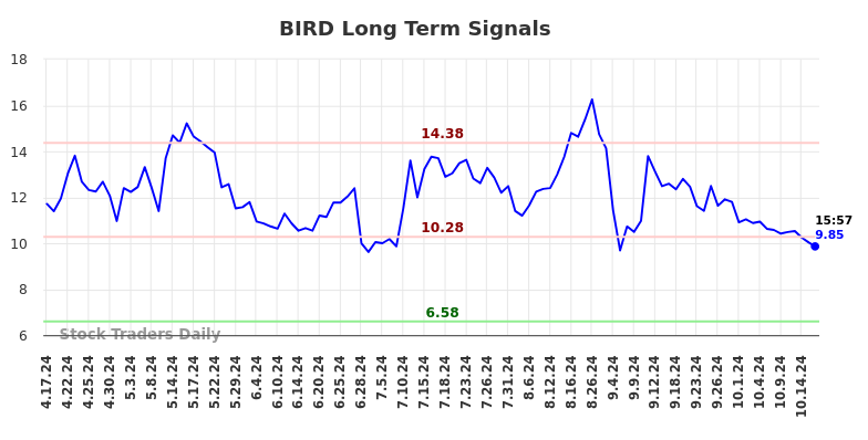 BIRD Long Term Analysis for October 17 2024