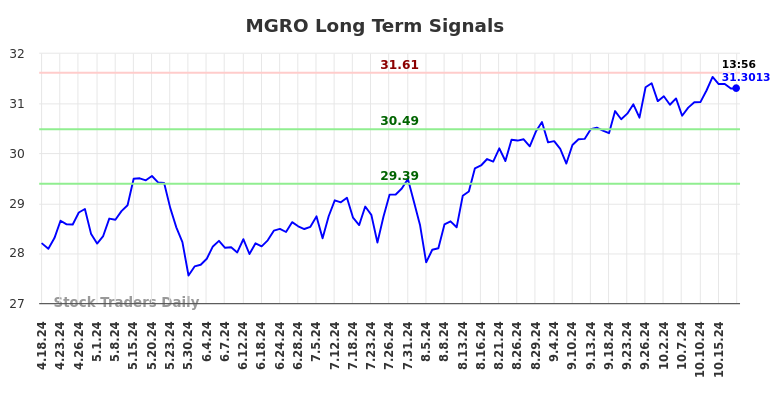 MGRO Long Term Analysis for October 18 2024