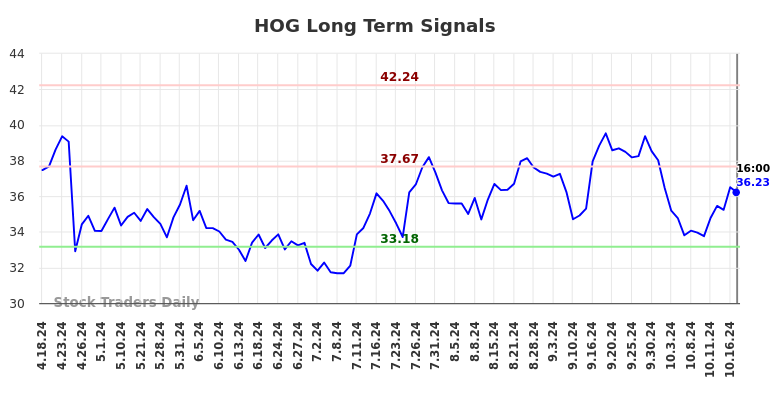 HOG Long Term Analysis for October 19 2024