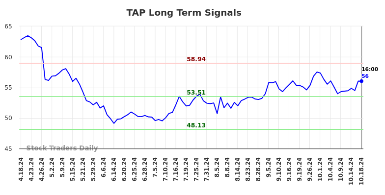 TAP Long Term Analysis for October 19 2024