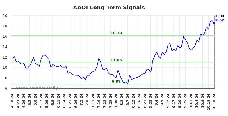 AAOI Long Term Analysis for October 19 2024