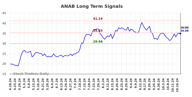 ANAB Long Term Analysis for October 19 2024