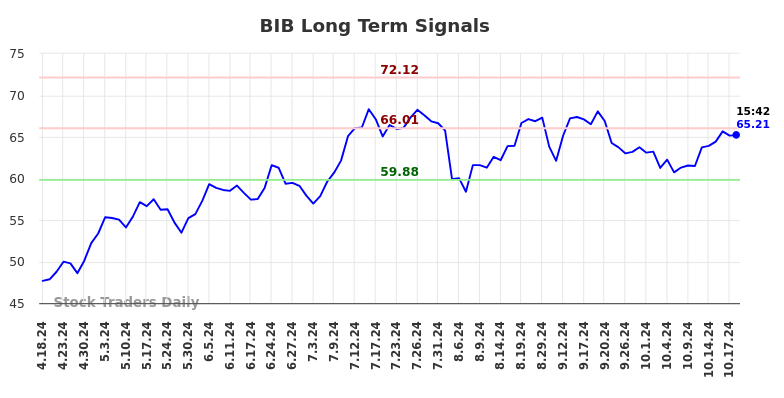 BIB Long Term Analysis for October 20 2024