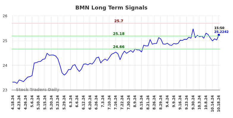 BMN Long Term Analysis for October 20 2024