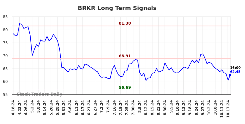 BRKR Long Term Analysis for October 20 2024