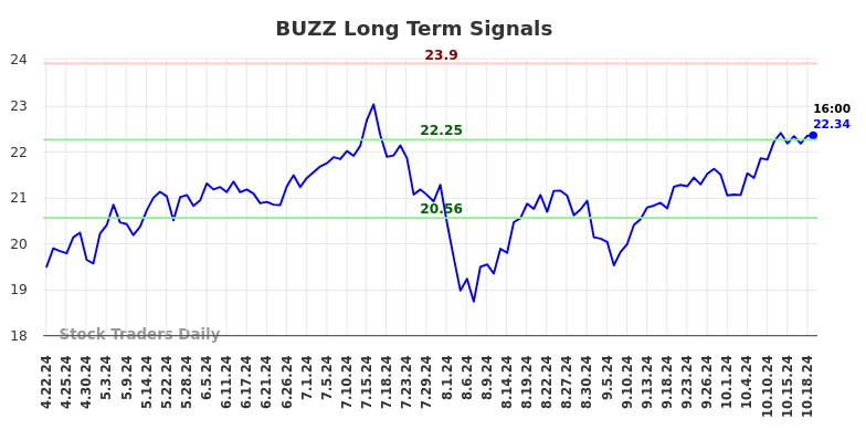 BUZZ Long Term Analysis for October 20 2024