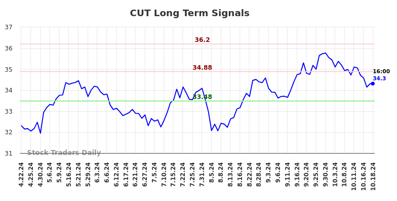 CUT Long Term Analysis for October 20 2024