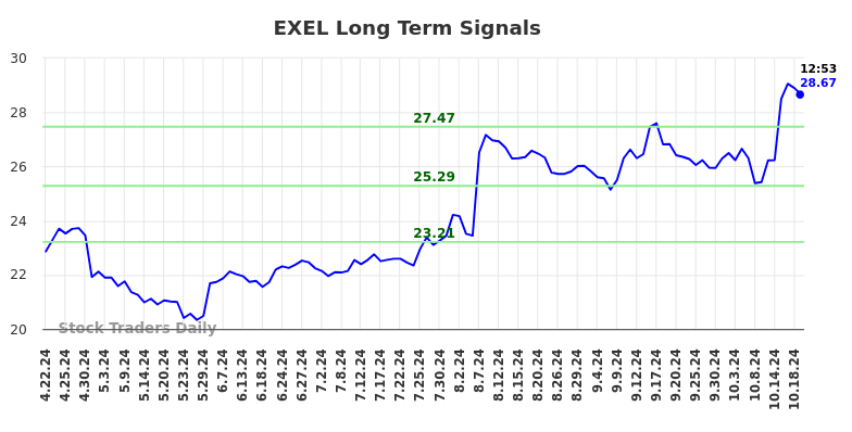 EXEL Long Term Analysis for October 21 2024