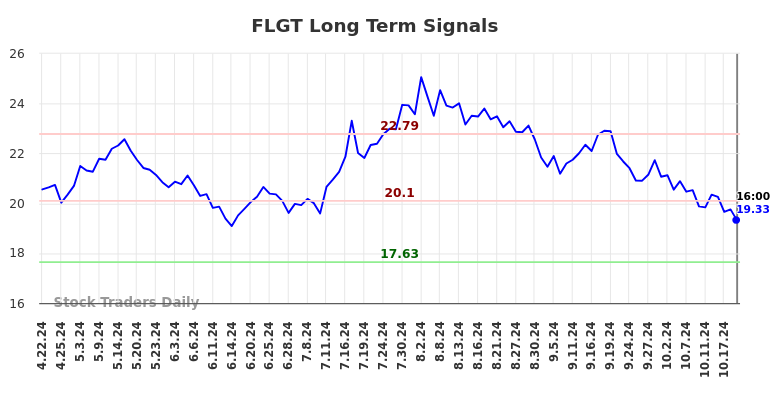 FLGT Long Term Analysis for October 21 2024