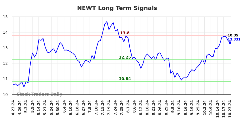 NEWT Long Term Analysis for October 23 2024