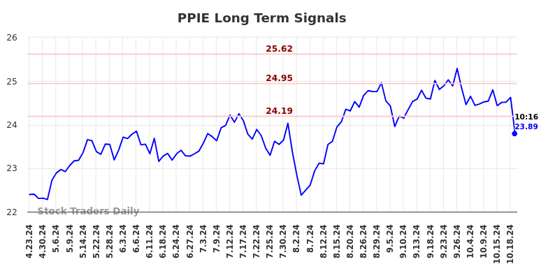 PPIE Long Term Analysis for October 23 2024