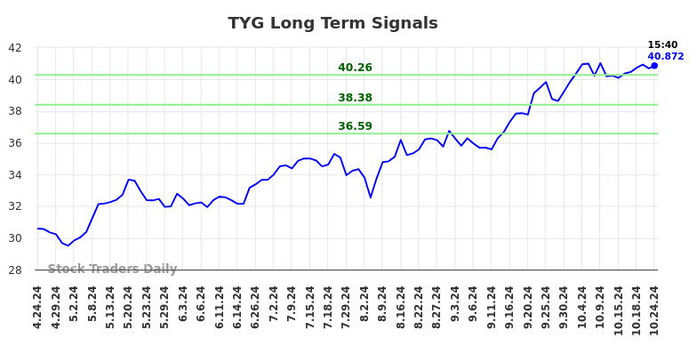 TYG Long Term Analysis for October 25 2024