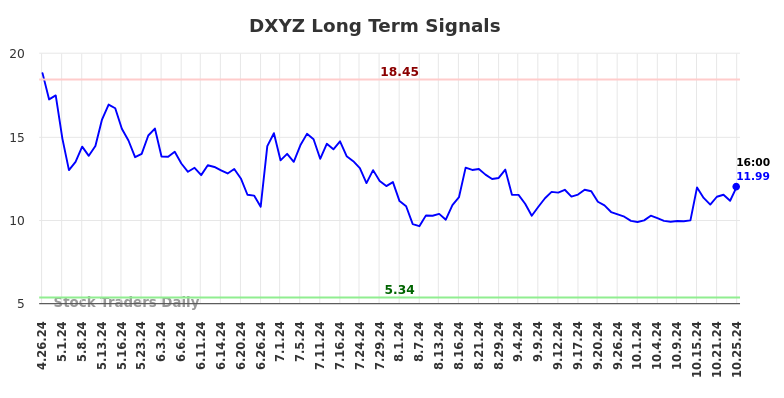 DXYZ Long Term Analysis for October 27 2024