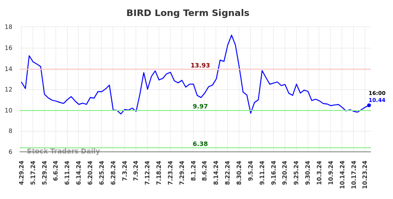 BIRD Long Term Analysis for October 28 2024