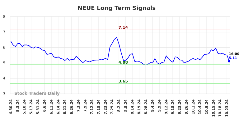 NEUE Long Term Analysis for October 28 2024