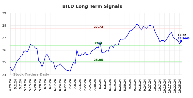 BILD Long Term Analysis for October 28 2024