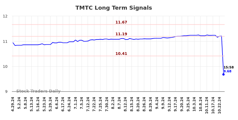 TMTC Long Term Analysis for October 28 2024