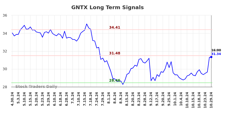 GNTX Long Term Analysis for October 30 2024