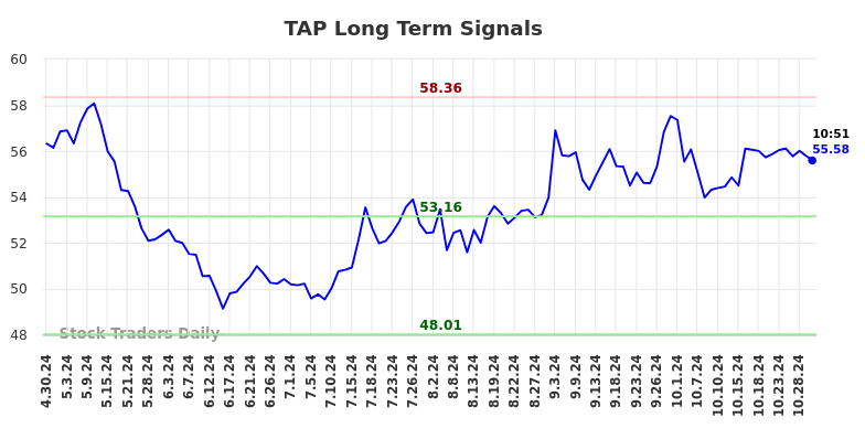 TAP Long Term Analysis for October 30 2024