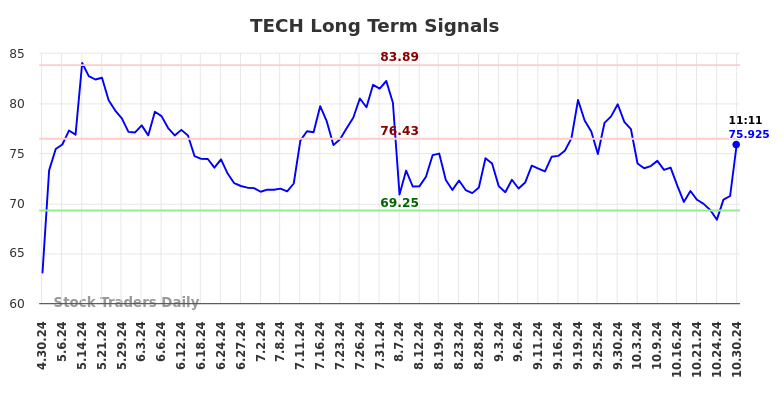 TECH Long Term Analysis for October 30 2024