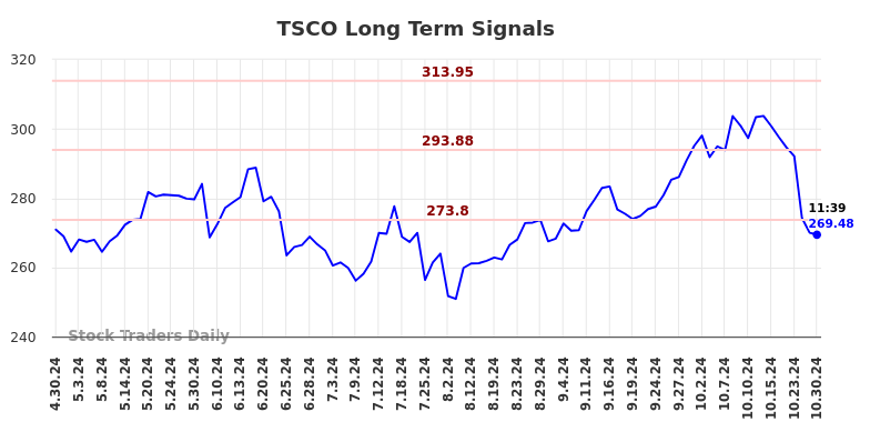 TSCO Long Term Analysis for October 30 2024