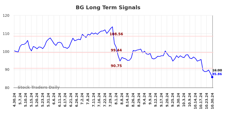 BG Long Term Analysis for October 31 2024