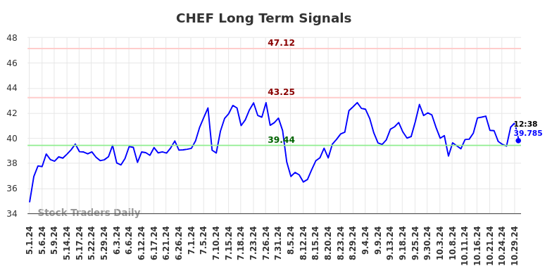 CHEF Long Term Analysis for October 31 2024