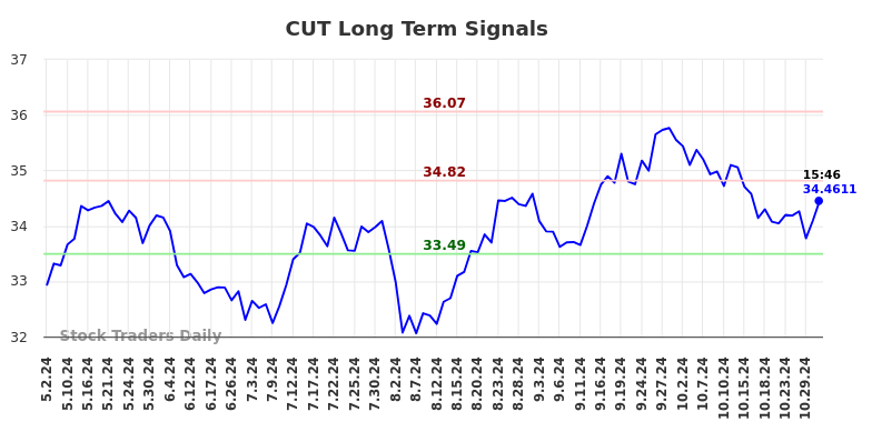 CUT Long Term Analysis for October 31 2024