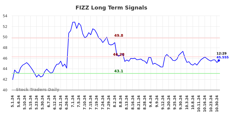 FIZZ Long Term Analysis for November 1 2024