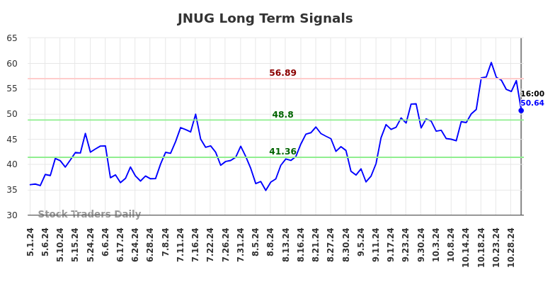 JNUG Long Term Analysis for November 2 2024