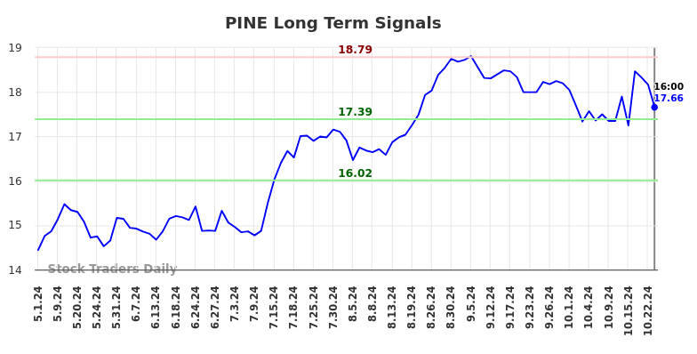 PINE Long Term Analysis for November 3 2024
