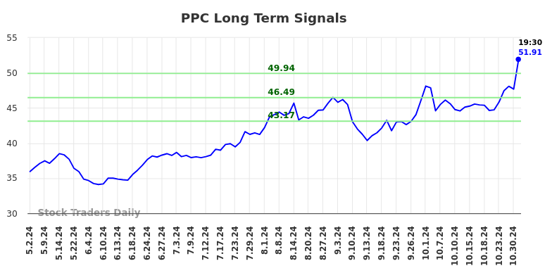 PPC Long Term Analysis for November 3 2024