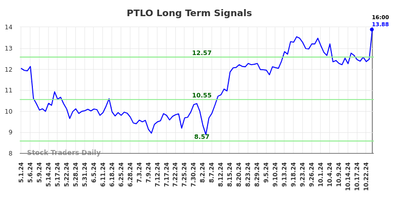 PTLO Long Term Analysis for November 3 2024 PTLO Long Term Analysis for November 3 2024