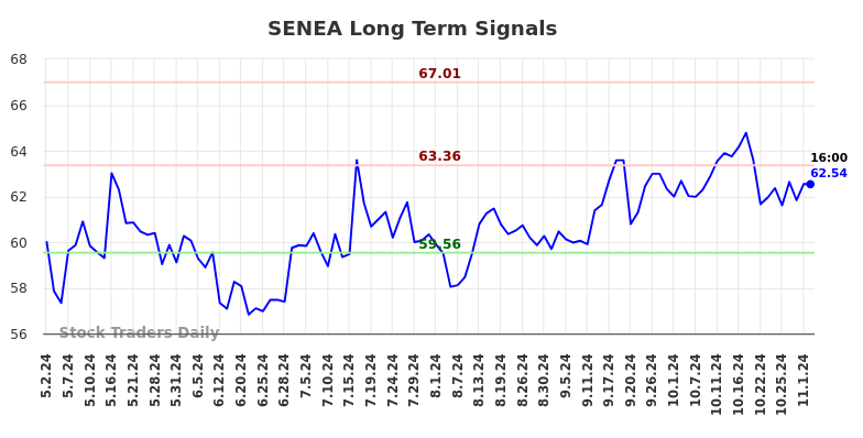 SENEA Long Term Analysis for November 4 2024 SENEA Long Term Analysis for November 4 2024