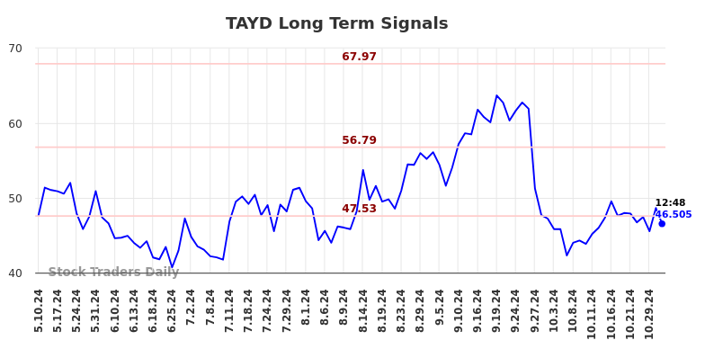 TAYD Long Term Analysis for November 4 2024