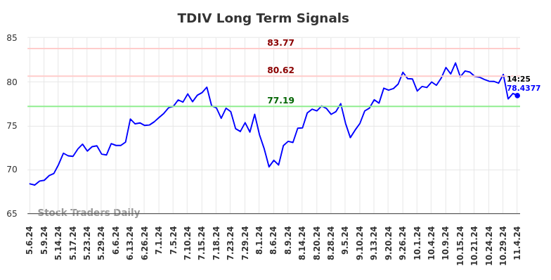 TDIV Long Term Analysis for November 4 2024