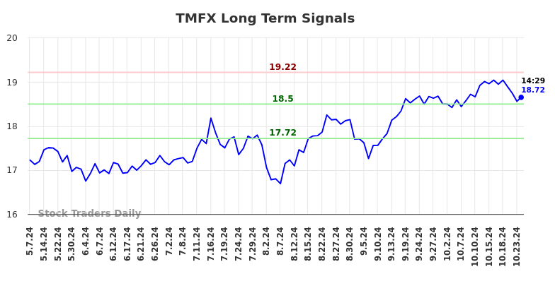 TMFX Long Term Analysis for November 4 2024