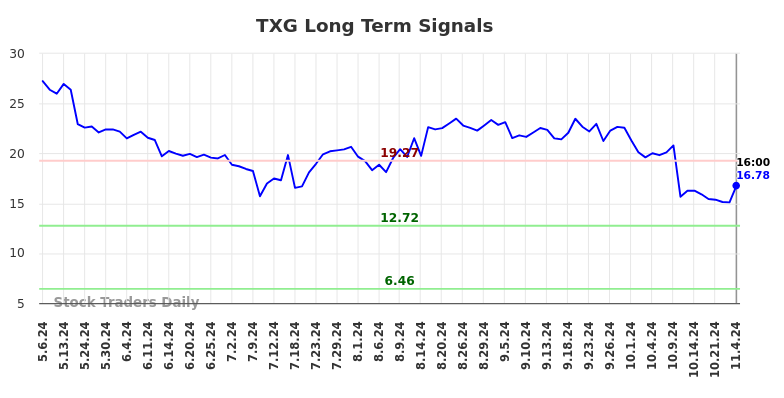 TXG Long Term Analysis for November 4 2024