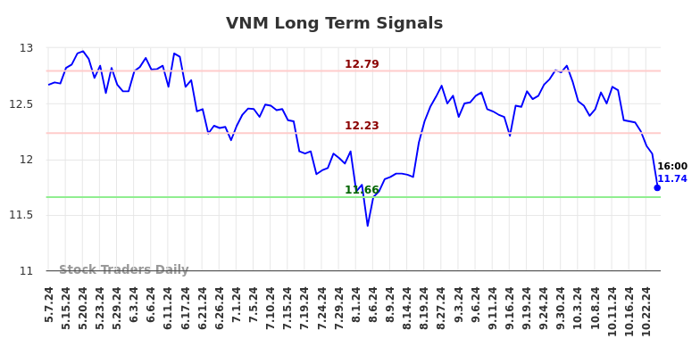 VNM Long Term Analysis for November 5 2024